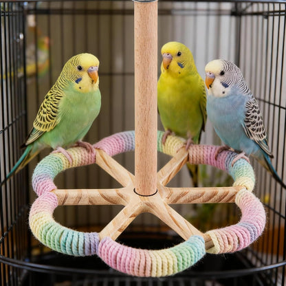Bird Perch Toy, Interactive Spinning Parakeet Parrot Toys with Chew Toy,360° Silent Free-Spin,for Parrots, Parakeets, Cockatiels, Small to Medium Birds, with Poplar Swing (Round)