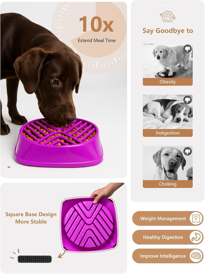 KASBAH Slow Feeder Dog Bowls Large Breed, Holds 5 Cups Wet or Dry Food for Large and Medium Dogs,Puzzle Maze for Fast Eaters,Square Base,Non-Slip, Made Without BPA,Helps Prevent Bloat & Aid Digestion