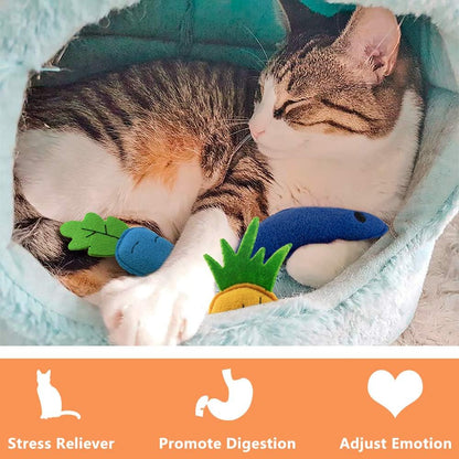 AWOOF Catnip Toys for Indoor Cats, 6 Pack Cat Chew Toys Plush Interactive Cat Kicker Toy for Indoor Kitten Exercise for All Breeds