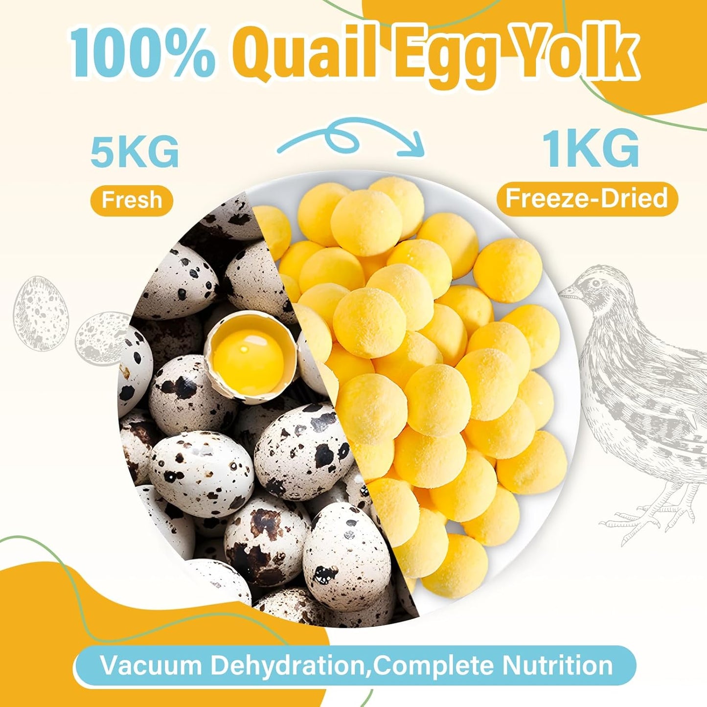 SHANDR 10.6 OZ Freeze Dried Quail Egg Yolk Healthy Pet Treats Food for Dogs Cats Natural Single Ingredient Tasty Freeze Dried Quail Eggs Snack Training Human Grade Free of Grain Gluten Rawhide