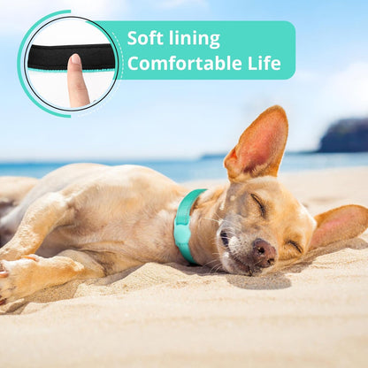 Airtag Dog Collar with Air Tag Holder, Adjustable Reflective Pet Collar with Soft Padding,Durable Nylon Collar for Tiny Small Medium Dogs, Easy Install Design (Turquoise Blue,S)