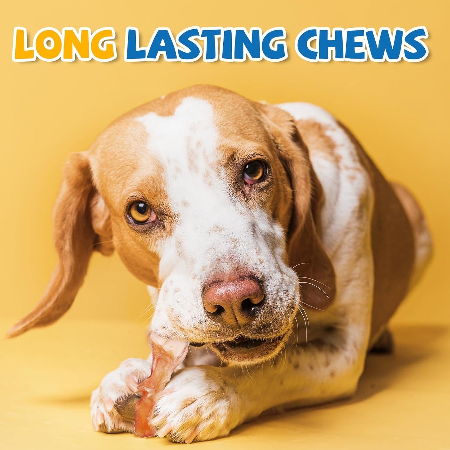 gazeupon Dog Treats,Deer's Hoof Tendon, Dog Chews Long Lasting, Natural Training Rewards