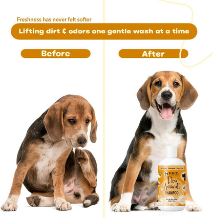P.E.T. Flea Assault Pear Pomegranate Shampoo for Dogs & Cats — Deep-Cleansing & Deodorizing Formula — Soothes Skin, Hydrates & Adds Shine — Sulfate-Free, pH-Balanced, Hypoallergenic — 16 oz