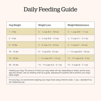 Now Fresh Grain-Free Small Breed Senior Dry Dog Food with Turkey, Salmon & Duck, Premium Kibble Made with Real Meat & Fish, Chicken-Free, Added Glucosamine & Chondroitin for Healthy Joints, 3.5 lb Bag