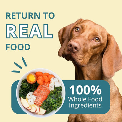 Steve's Real Food Freeze-Dried Raw Nuggets - White Fish Recipe - Raw Pet Food for Dogs and Cats - 20 oz