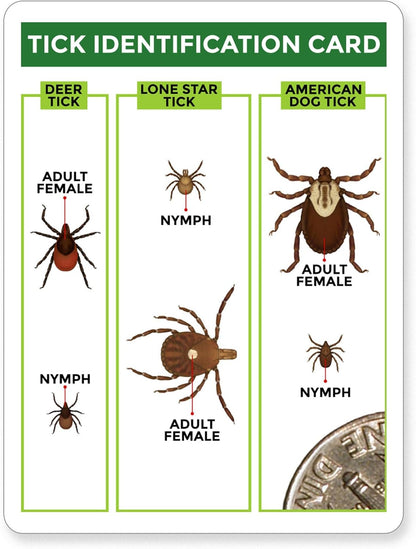 TickCheck Tick Remover Value 3 Pack - Tick Remover Tools + Tick Identification Card - for Humans, Dogs & Cats (5)