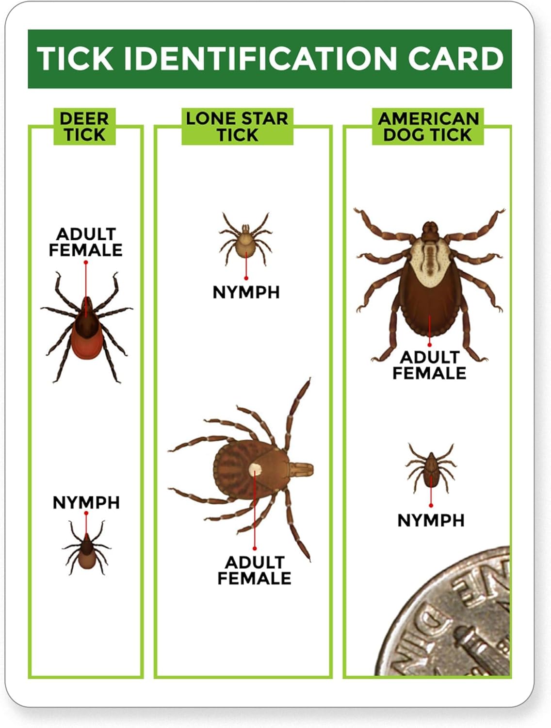 TickCheck Tick Remover Value 3 Pack - Tick Remover Tools + Tick Identification Card - for Humans, Dogs & Cats (5)