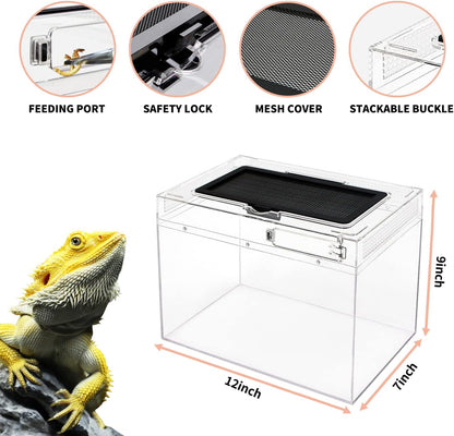 Mini Reptile Terrarium,12" x 7"x 9" Reptile Tank with Full View Visually Appealing，for Insect，Fish，Tarantula，Hermit crab，Jumping spider，Iguana，Tortoise，Leopard Gecko，Frog，Bearded dragon