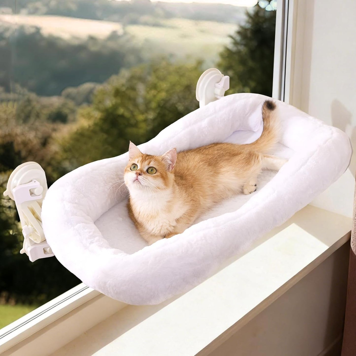 Gardner Pet Cat Window Perch for Large Cats with 4 Suction Cups, 2 in 1 Cat Hammock with Detchable Cushion for 55Lbs Load (White)