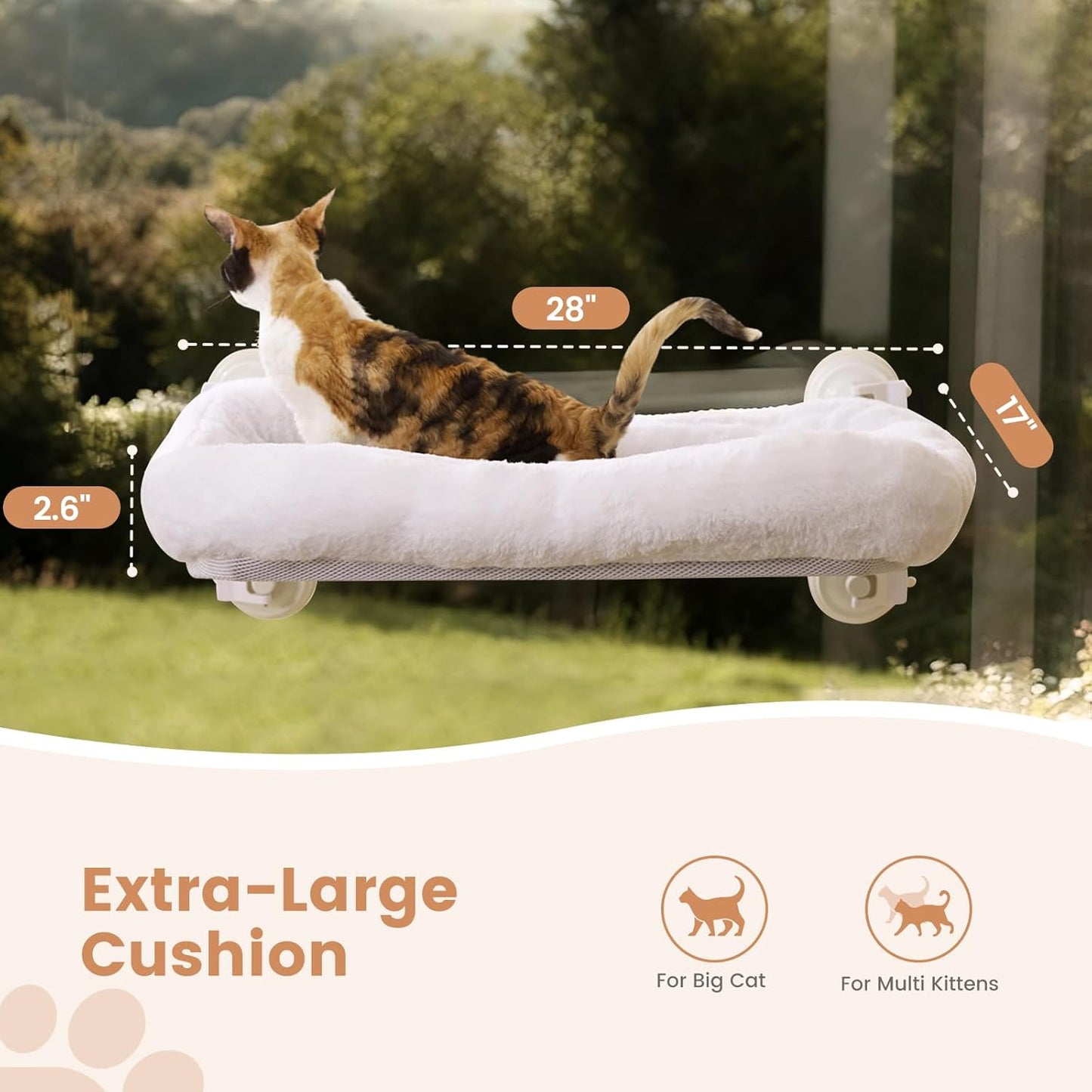Gardner Pet Cat Window Perch for Large Cats with 4 Suction Cups, 2 in 1 Cat Hammock with Detchable Cushion for 55Lbs Load (White)