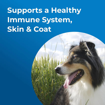 PetAg Esbilac Puppy Milk Replacer Powder (5 lb) + PetAg Dyne High Calorie Liquid Nutritional Supplement for Dogs & Puppies 8 Weeks and Older (1 Gallon)