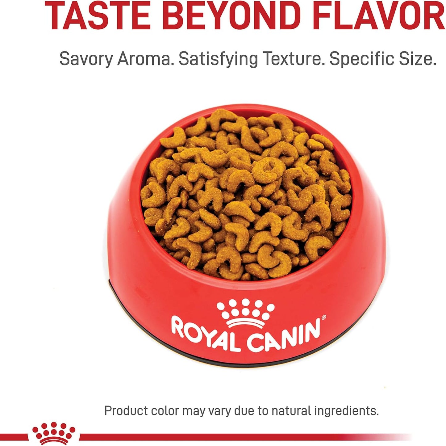 Royal Canin Feline Breed Nutrition American Shorthair Adult Dry Cat Food, 5.5 lb Bag