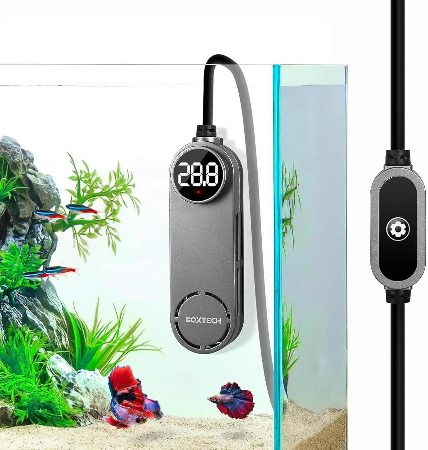 50W Mini Heater for 5-10 Gallon Tanks + 6-in-1 Fish Tank Cleaning Kit – Submersible Heater with Digital Display & External Controller, Algae Scraper, Gravel Rake, Net, and Rotating Brush for Betta, Sh