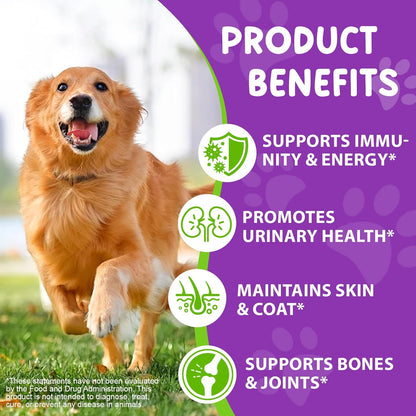 Dog Multivitamin Drops, 15 in 1 Multivitamin Liquid for Dog with Vitamin C-20 Mg, Vitamin D-100 Iu & B1-3,Dog Health Supplements for Skin Care, Joints & HIPS,Gut