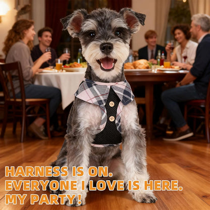 KOOLTAIL Small Dog Harness and Leash Set, Step in No Pull Soft Mesh Padded Pet Vest Harness Collar for Small Size Dogs Cats Boy Girl, Breathable & Lightweight Plaid Puppy Harness, Beige S