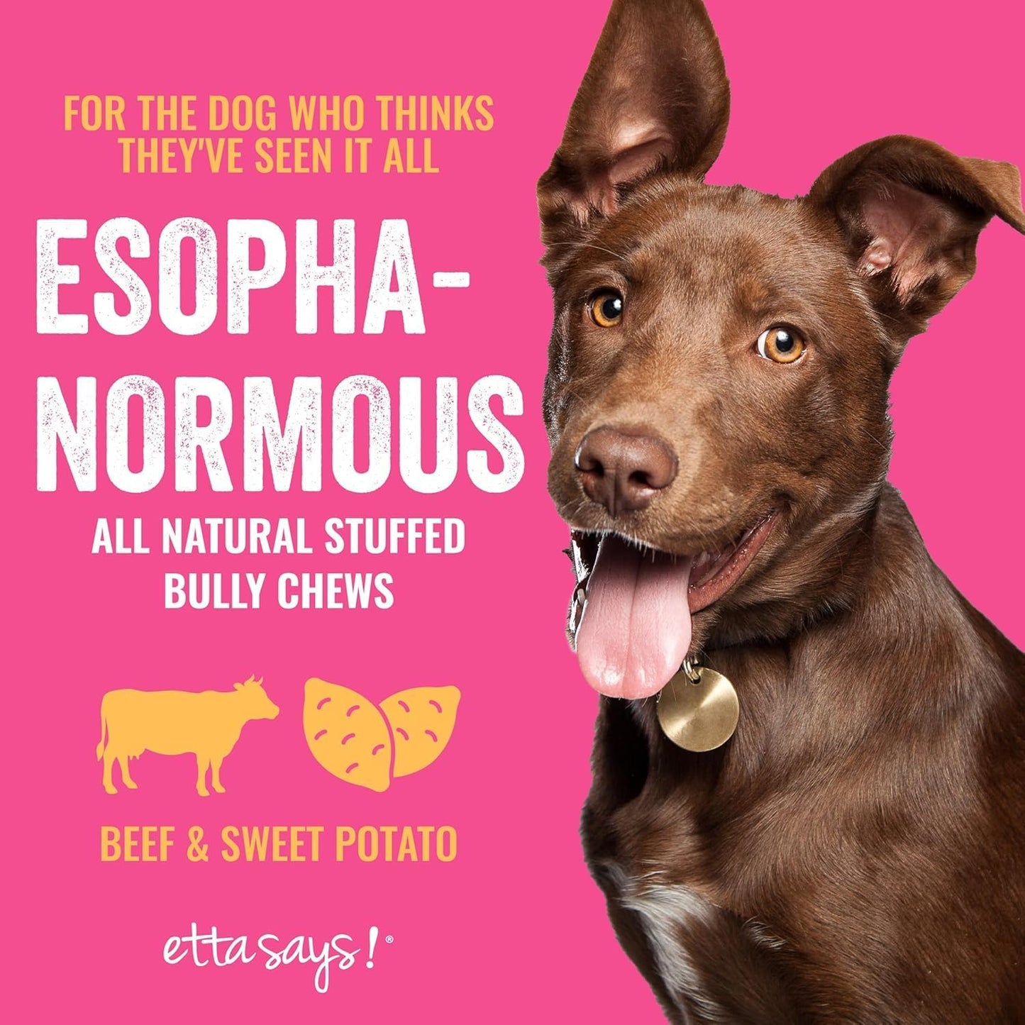 etta says! Esophonormous Esophagus Stuffed Bully Sticks for Dogs - Made in The USA with All Natural, Limited Ingredients - High Protein Dog Chew - 10", 3 Packs