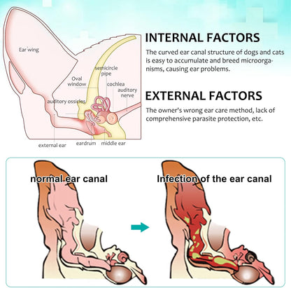 FANSHI Ear Treatment for Dogs & Cats, Cat Ear Care Cleaning with Aloe - Gentle Ear Cleaner Drop Soothing & Clean, Helps Remove Debris & Soothe Itchy Ears, 0.75 fl oz
