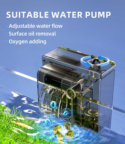 5 Gallon Fish Tank Aquarium Kit with Filter, LED Light with Timer, Siphon Vacuum Cleaner, Lid, Self-Cleaning Glass Rimless Betta Tank