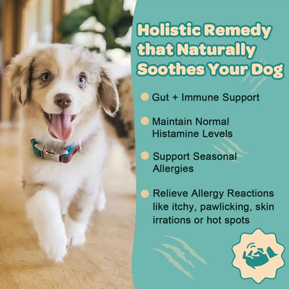 ZEBORA Dog Allergy Relief Powder & Omega 3 Fish Oil Powder for Dogs