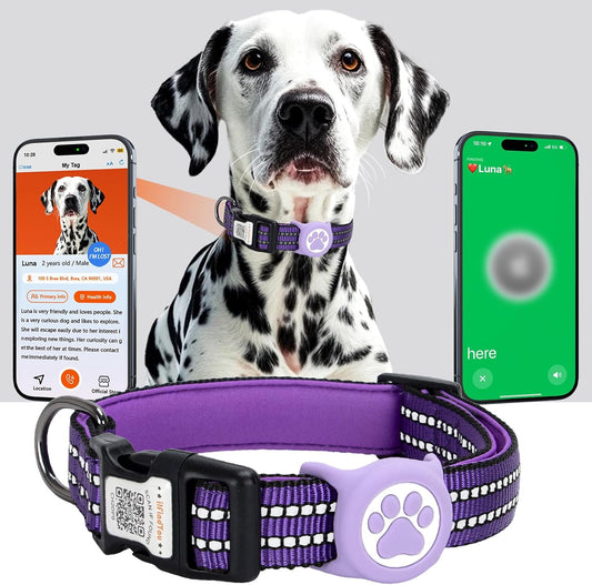 AirTag Dog Collar for Medium Dogs, IP68 Waterproof Air Tag Dog Collar with Apple AirTag Holder, Reflective, Padded Lining, QR Code Personalized Dog Tags (Purple, Medium)