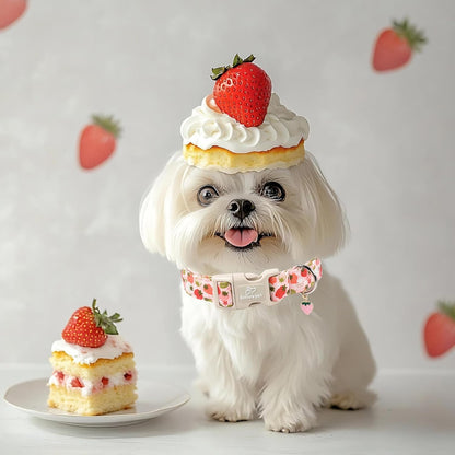 Strawberry Dog Collar for Medium Dogs - Sweet Girl Dog Collars for Spring Summer, Cute Pastel Pink & Floral Fruit Print, Adjustable Puppy Collar with Quick-Release Buckle M