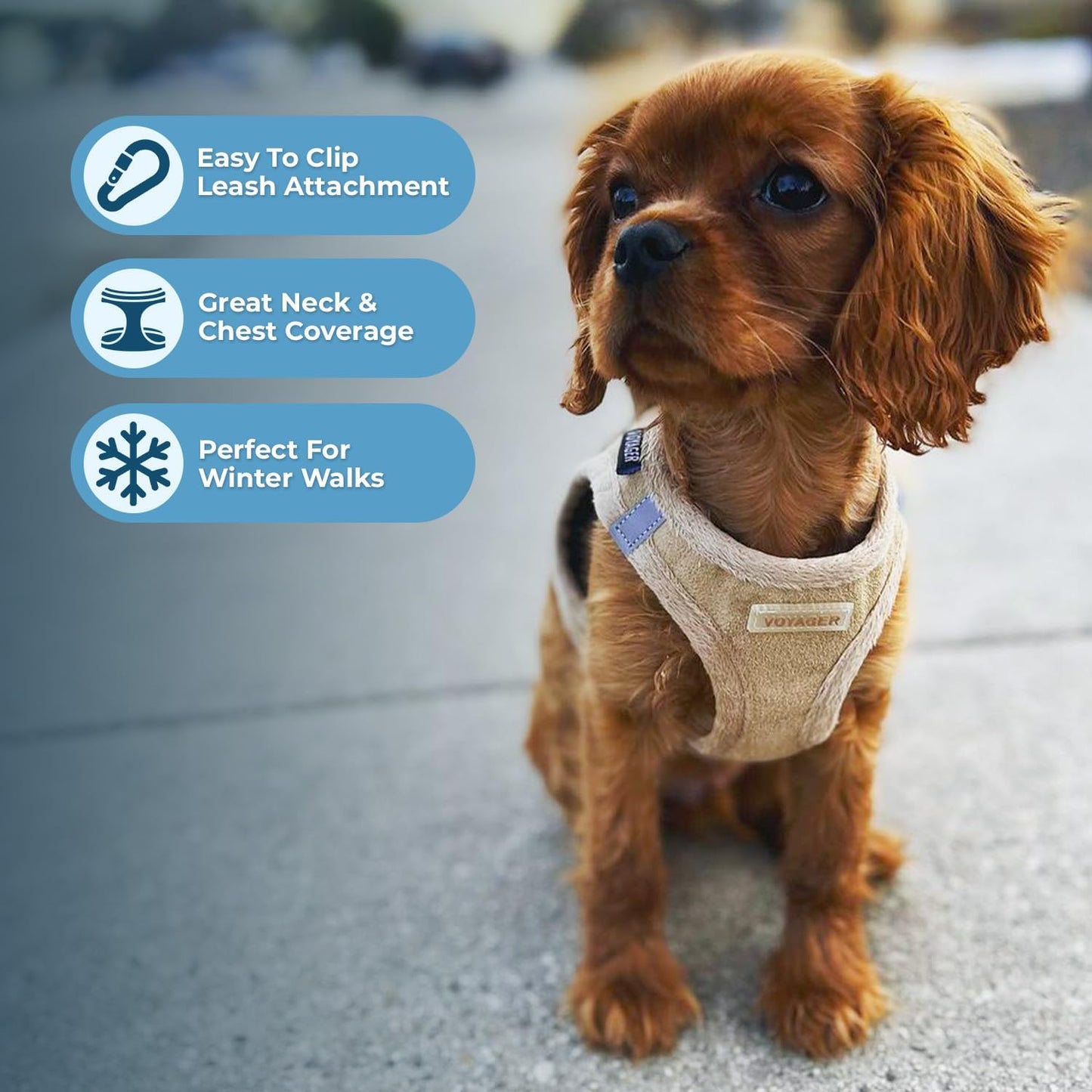 Best Pet Supplies - All Weather Plush, Reflective, No Pull Harness for Small, Medium Dogs, Cats - Secure with Hook & Loop Fastener, Buckle, Double D-Rings - Harness (Latte Suede), S