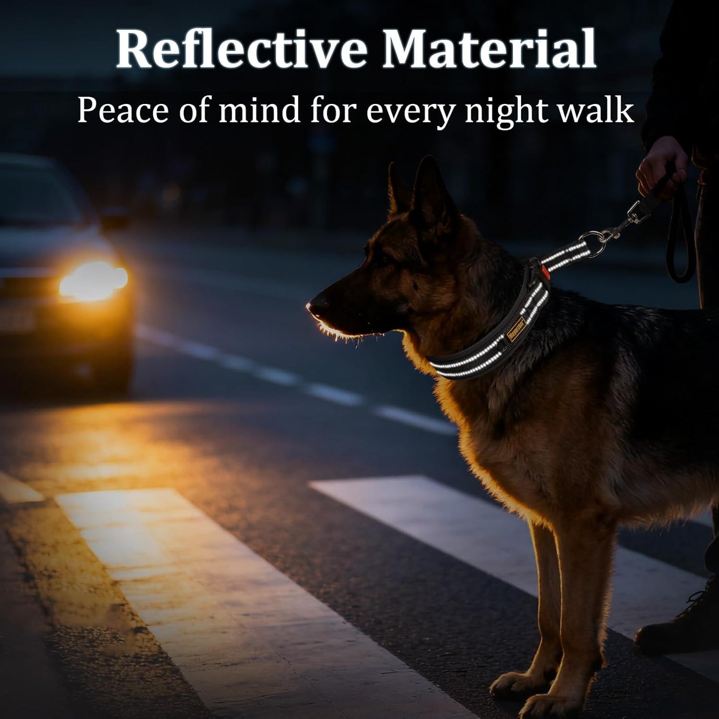 Mayerzon 1.5" Wide Martingale Collar for Large Medium Small Dogs Pitbull German Shepherd, No Pull Reflective Slip & Martingale Dog Collar with Buckle Soft Padded for Walking Training(Black,M)