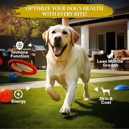 Healthy Dogma - PetMix Dehydrated Dog Food for Allergies, Freeze Dried, Raw, Homemade Dog Food (Chicken Dinner, 2 lbs)