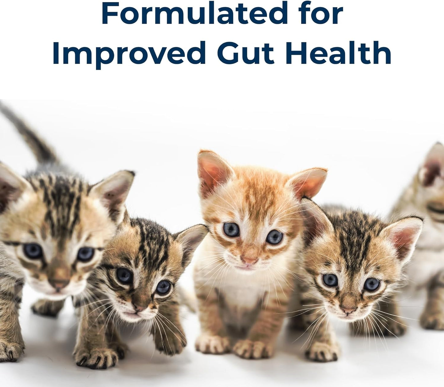 PetAg KMR Kitten Milk Replacer Powder (12 oz) + PetAg KMR 2nd Step Kitten Weaning Food (14 oz)