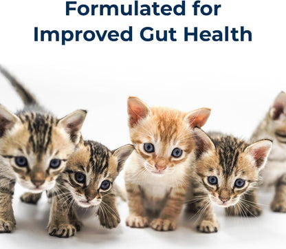 PetAg KMR Kitten Milk Replacer Powder (12 oz) + PetAg KMR 2nd Step Kitten Weaning Food (14 oz)