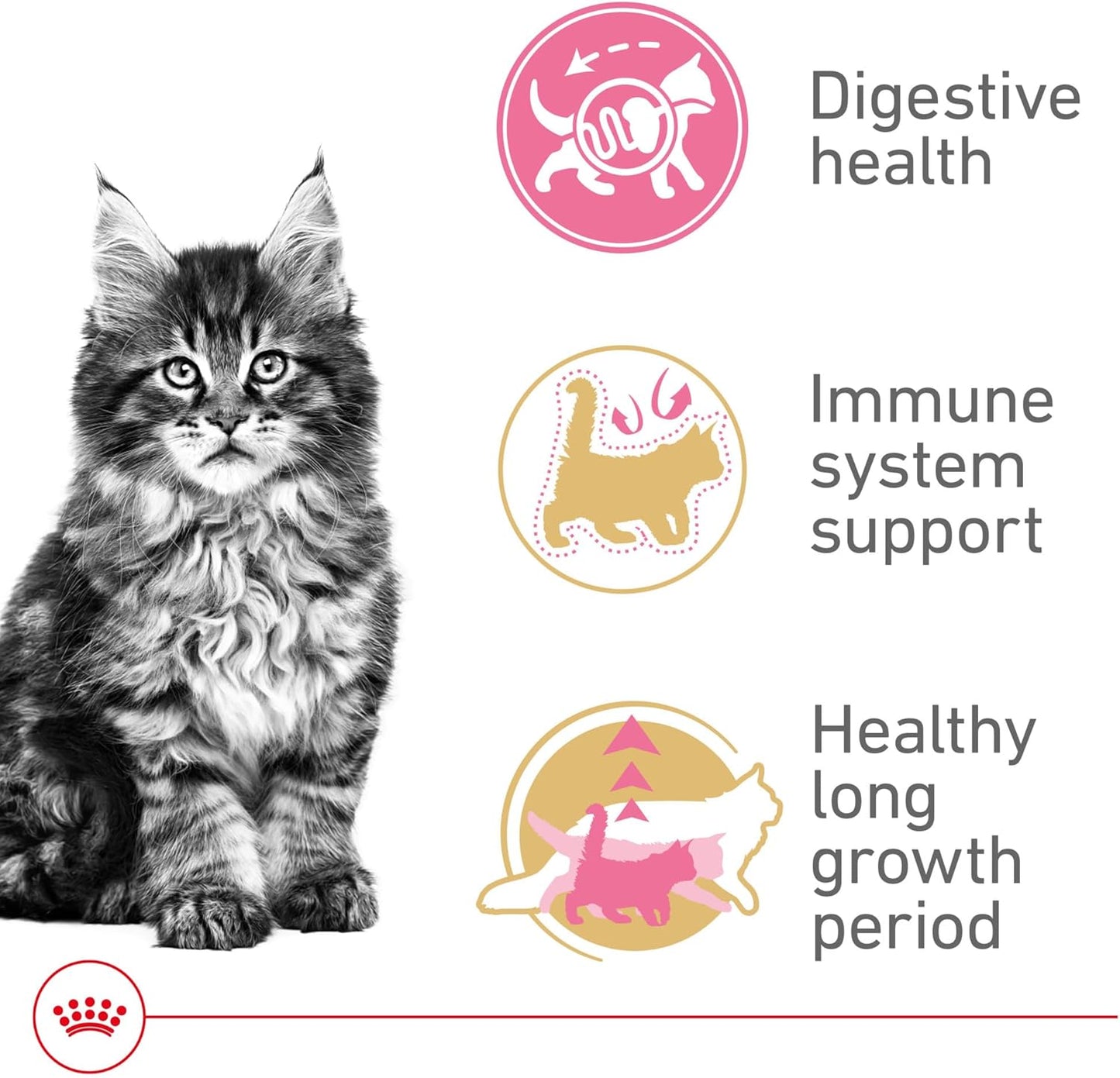 Royal Canin Feline Breed Nutrition Maine Coon Kitten Dry Cat Food, 3 lb Bag