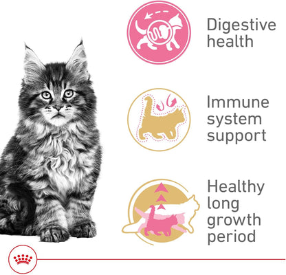 Royal Canin Feline Breed Nutrition Maine Coon Kitten Dry Cat Food, 3 lb Bag