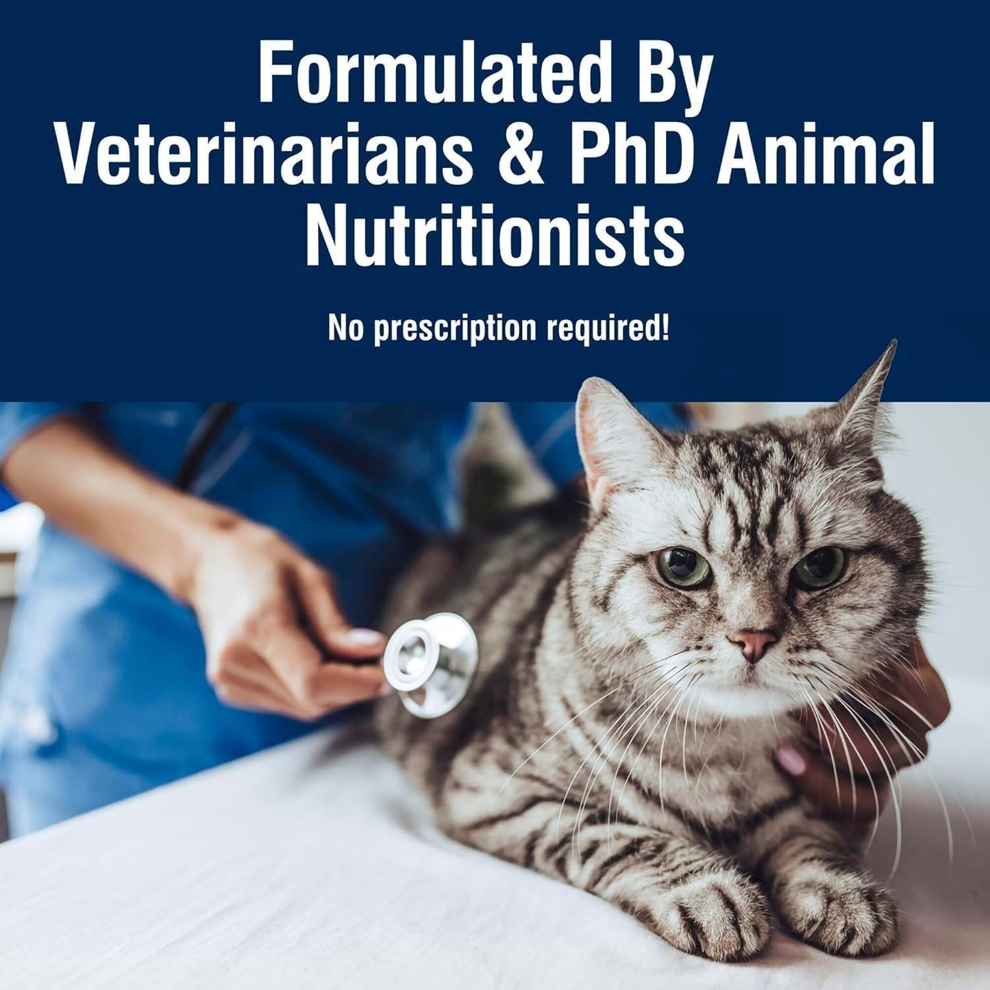 Blue Buffalo True Solutions Urinary Care Wet Cat Food for Adult Cats, Made with Natural Ingredients, Chicken, 3.0-oz. Cans (24 Count)