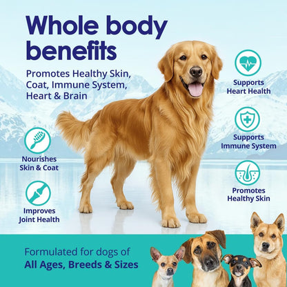 Liquid Fish Oil for Dogs with Omega 3, 6 & 9 Fatty Acids, Wild Caught from Iceland, Skin and Coat Supplement for Shedding, Itchy Skin, Allergies, Brain and Heart Health, Rich in EPA + DHA - 12 oz