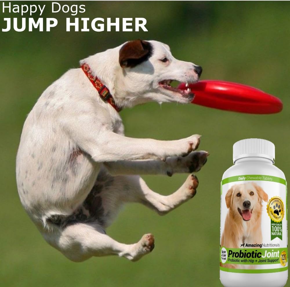 Amazing Probiotics for Dogs Eliminates Diarrhea and Gas with Hip Joint Pain Relief, 120 Chews