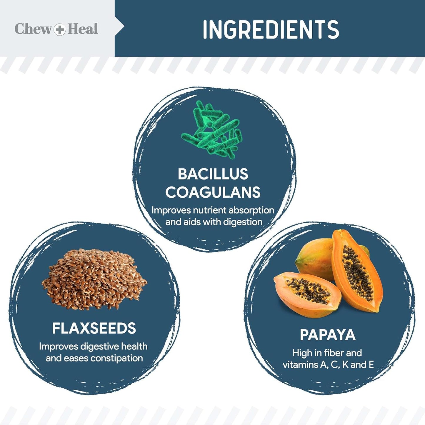 Probiotics for Dogs with Digestive Enzymes - 120 Soft Chews - Supports Healthy Digestive Tract, Helps Nutrient Absorption and Food Digestion - Probiotic & Prebiotic Dog Fiber and Gut Health Supplement