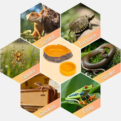 2-Pack Reptile Water Dish, Food Bowl Set - Natural Rock Design Snake Water Bowl, Leakproof Resin Feeder for Bearded Dragons, Turtles, Geckos, Snakes | Terrarium Decor Essentials