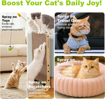 Catnip Spray for Cats, Highly Potent for Energizing Play & Toy Renewal, Calming Stress Relief for Indoor Cats, 100% Natural Dual-Plant Formula for Cats & Kittens, Mess-Free Herbal Formula (100 ml)