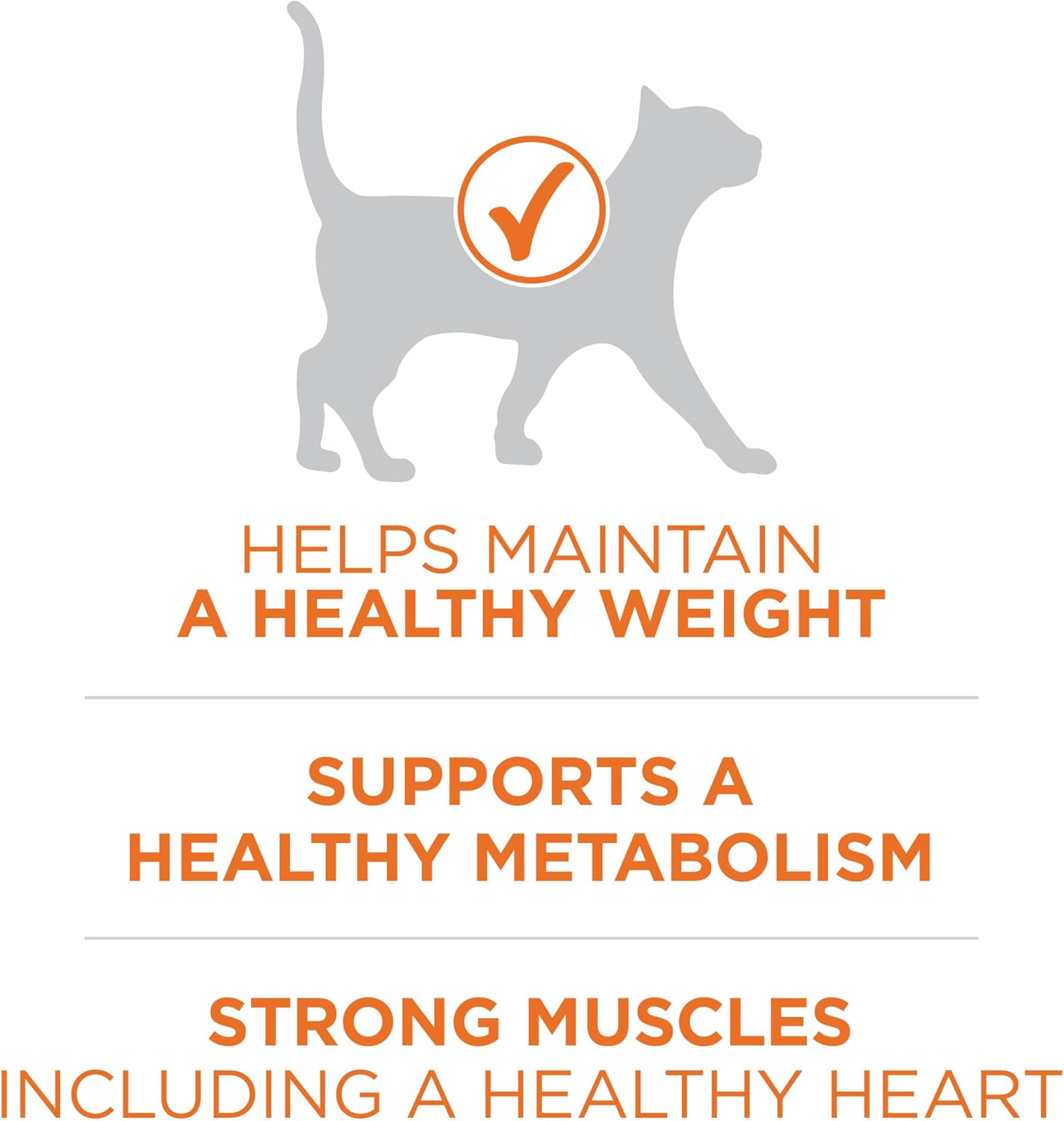 Purina ONE High Protein, Healthy Weight Plus Ideal With Chicken Dry Cat Food Formula - 22 lb. (Pack of 1)