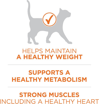 Purina ONE High Protein, Healthy Weight Plus Ideal With Chicken Dry Cat Food Formula - 22 lb. (Pack of 1)