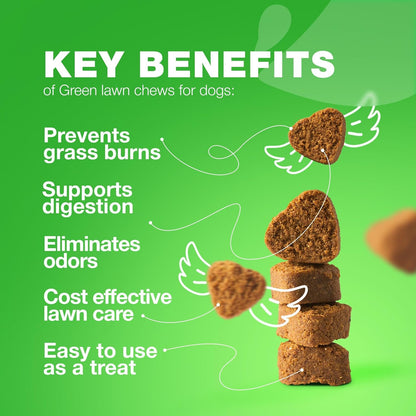 Grass Spot Chews for Dogs - Dog Probiotic, Multivitamins, Enzymes - Vitality & UTI & Digective Support - Urine Neutralizer for Lawn