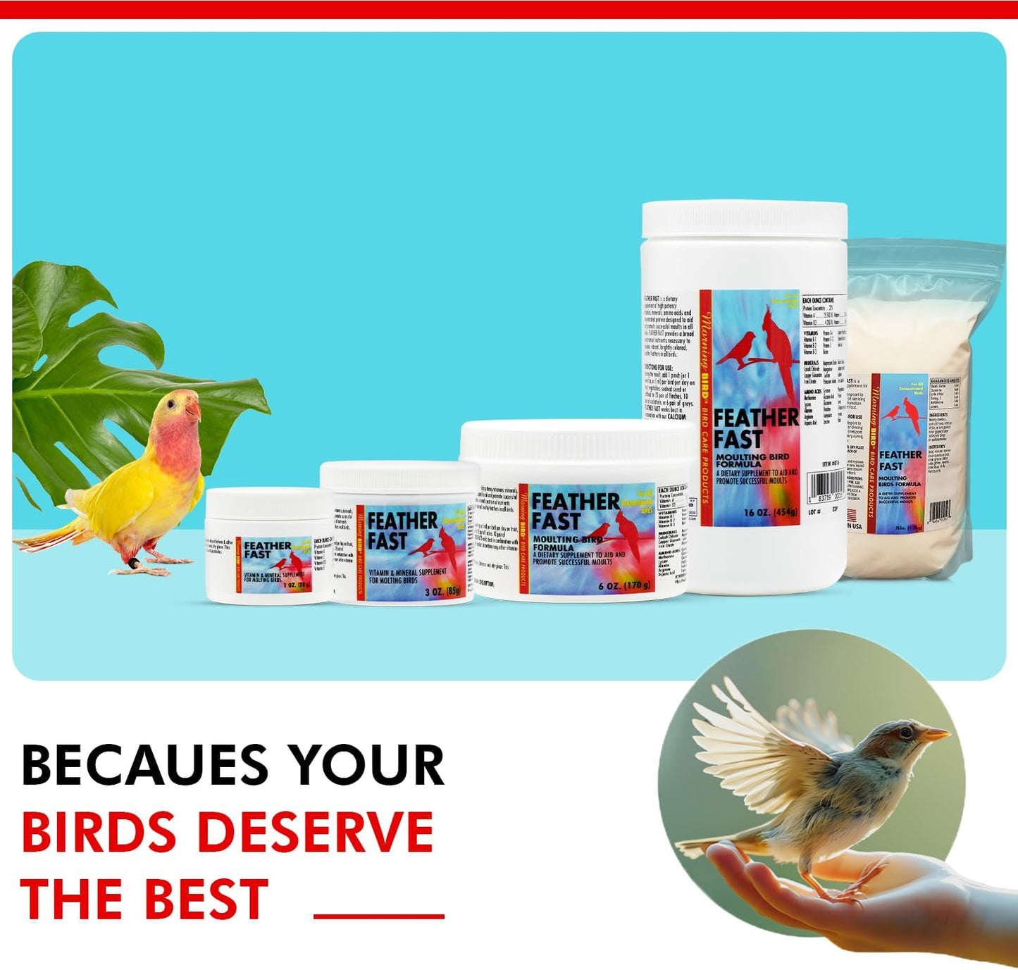 Morning Bird Feather Fast 6 Oz – Multi-Vitamin During Molt - Molting Support Supplement for Birds – Amino Acid & Vitamin Powder Formula– Promotes Feather Growth, and Full Plumage – for All Adult Birds