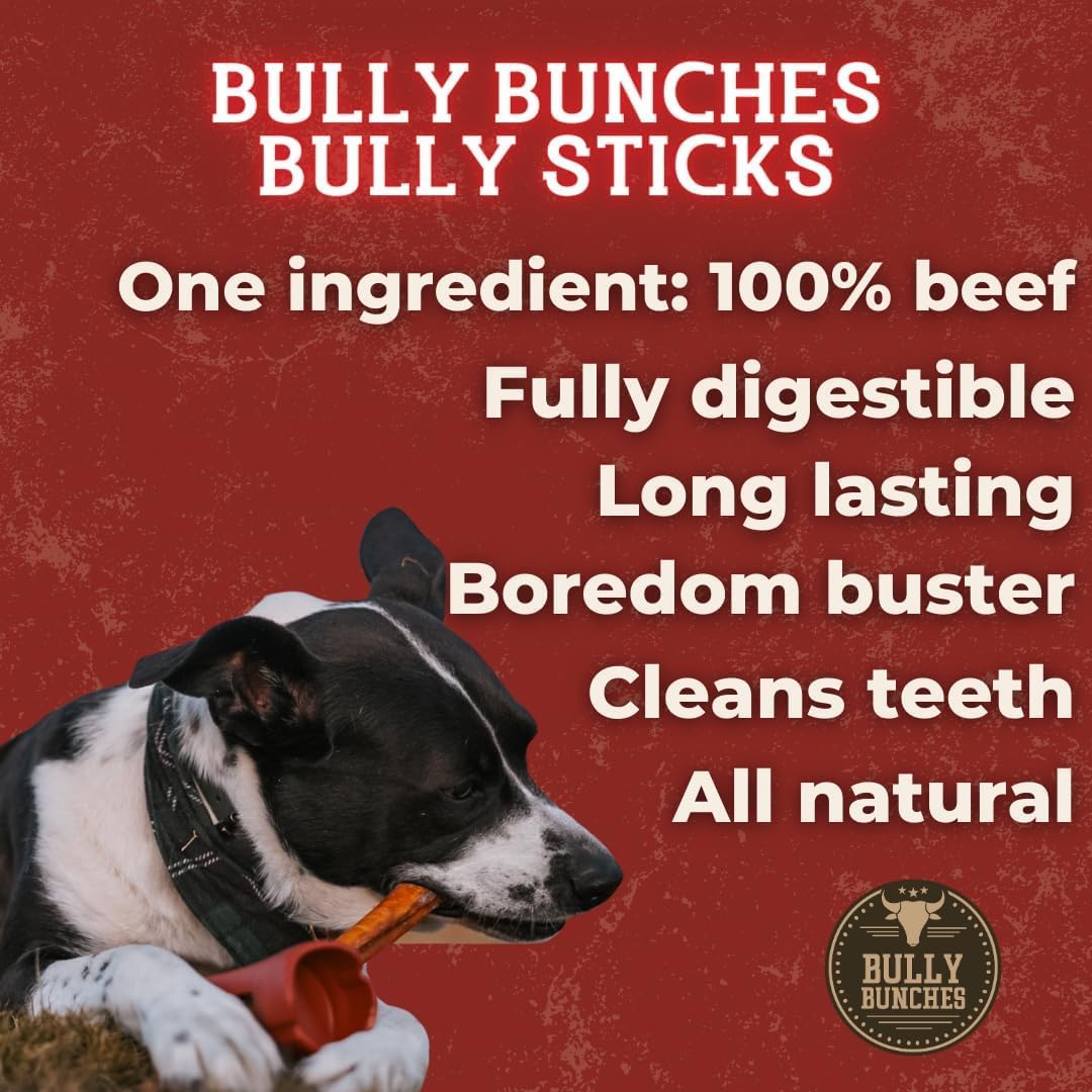 Bully Bunches Premium 6 Inch Standard Odor-Free Bully Sticks for Small to Medium Dogs & Puppies - Long Lasting Chews for Oral Care - All Natural, 100% Beef Dog Treats, Rawhide Free (5 Pack)