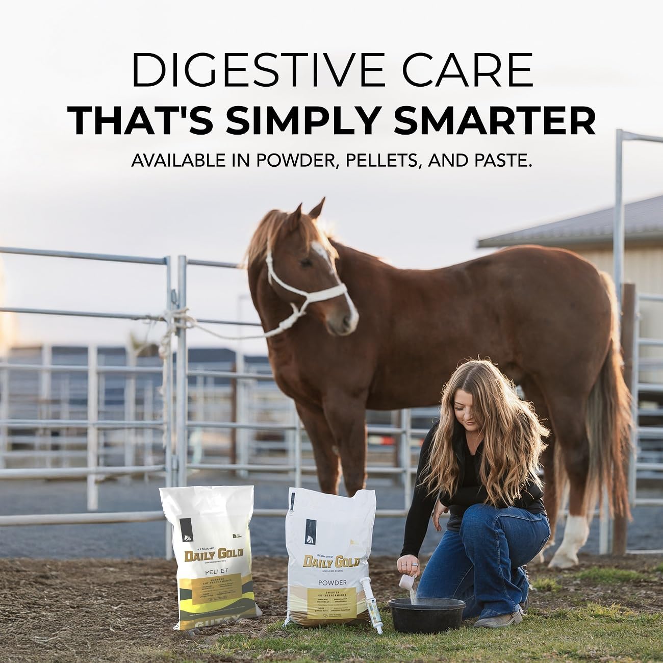 REDMOND Daily Gold Syringe Natural Healing Clay for Gastric Ulcers in Horses (Stress Relief Pre-Race Paste) (Single Pack)