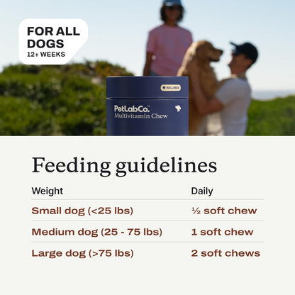PetLab Co. 22 in 1 Dog Multivitamin - Support Dog's Immune Response, Skin, Coat, Joints & Overall Health - Vitamins A, E, D, B12, Minerals, Antioxidants - Chewable Pork Flavor - Packaging May Vary