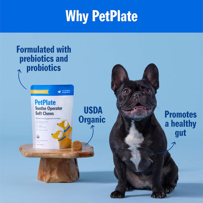 PetPlate Soothe Operater Digestive Soft Chews for Dogs, Made with Prebiotics & Probiotics, USDA Organic Supplement, Grain-Free, Human-Grade, Pet Supplies, (Pack of 1, 9.8 Ounce)