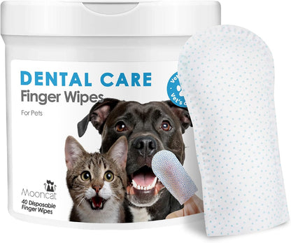 Mooncat Waterless Shampoo & Brush Kit for Longhair Cats + Dental Finger Wipes Bundle - Licking Safe Foam Detangler, Breath Freshening Wipes (40 Count)