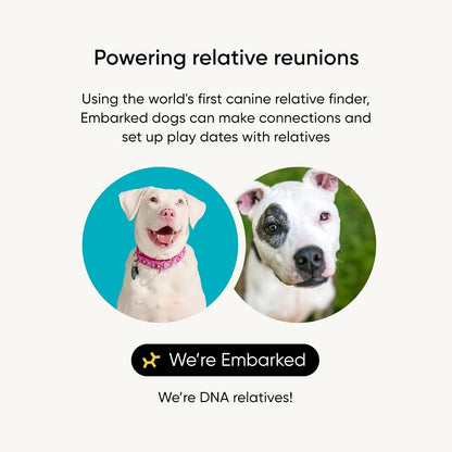 Embark Breed Identification Kit - Most Accurate Dog DNA Testing Kit - 99% Breed Ancestry Accuracy for Mixed Breed Dogs - Plus Relative Finder & Family Tree