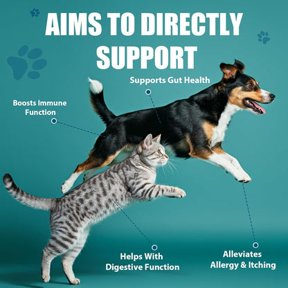 Probiotics for Dogs - Dog Probiotics with Prebiotics & Digestive Enzymes, Support Cut Health, Digestive Health & Immune System, Diarrhea & Allergy Itch Relief, 180 Soft Chews