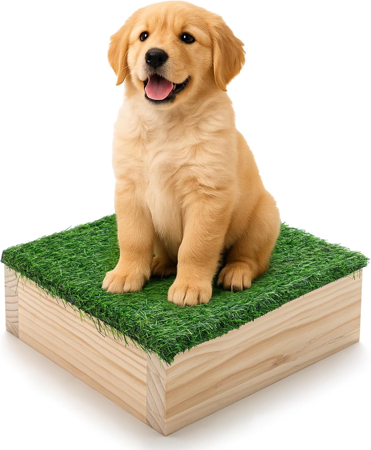 Dog Training Platform 11.81" Non Slip Pivot Box Place Board for Obedience, Hind Limb Awareness Practice Portable Place Board for Indoor Outdoor Use, Puppy to Medium Dogs Agility Training Equipment